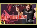 I GET TO SEE THEM LIVE!!! | BAND-MAID / DICE, Different (Official Live Video) | REACTION