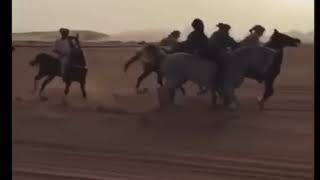 خيل يام