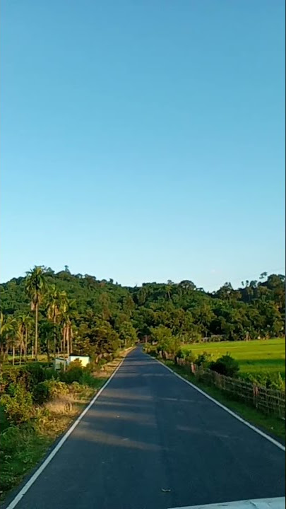 Download lagu borhat