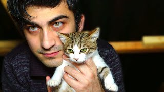Yüksek Ateşi Olan Yavru Kedinin 19 Gün Sonunda İNANILMAZ Değişimi (Sevimli Yavru Kediler) Lucky Paws