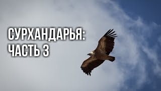 Природа Узбекистана: Сурхандарья (Часть 3)