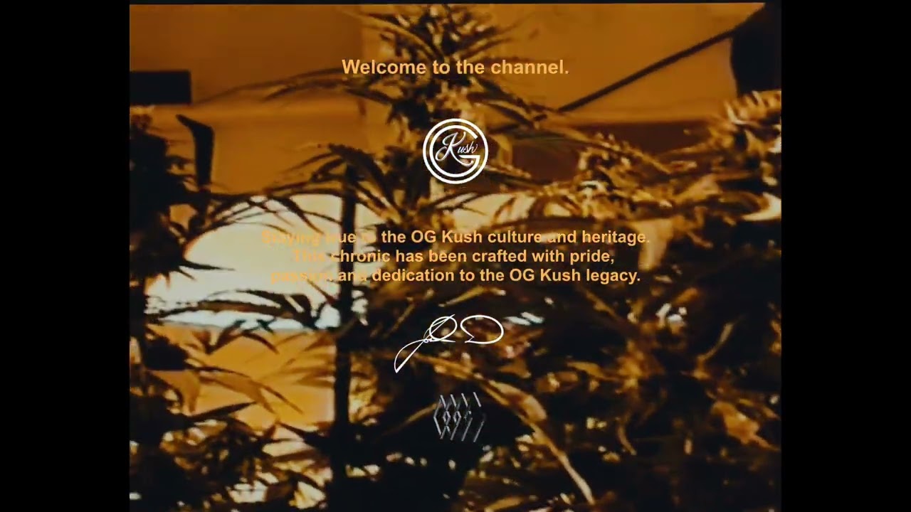 Welcome to the OG Kush Story
