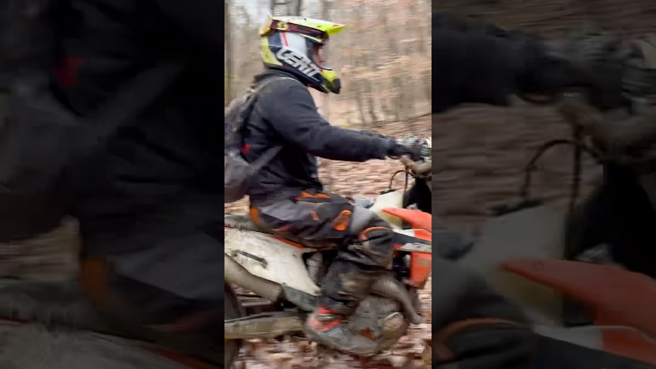 Boker’s wall in Perry State Forest! 