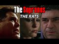 The Rats of The Sopranos - Soprano Theories