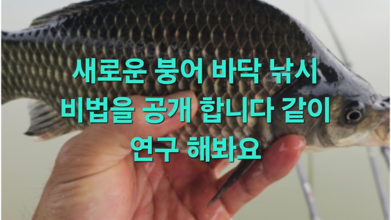 30년전 내림낚시가 국내에 들어 오기전 바닥낚시로 내림낚시를 하고 있었다