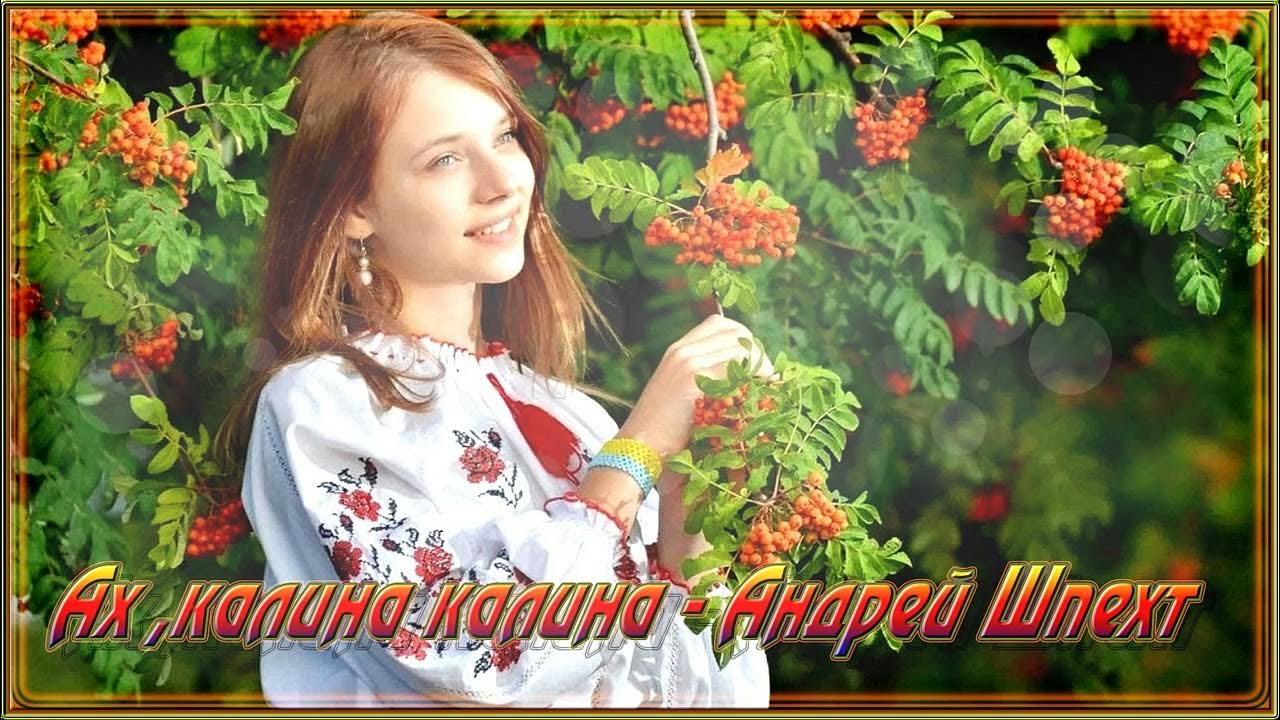 Поет соловей ах калина калина песня. Ах Калина Калина Соловей все поет.