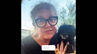 Their Dogs Are Different Now Dog Behavior Specialist Deb Nabb The Mutt Master Testimonials Montage