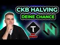 Verpasse NICHT das CKB Halving🚀 | Bittensor kommt der CRASH📉?