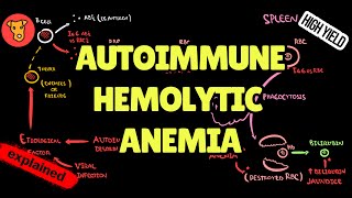 AUTOIMMUNE HEMOLYTIC ANEMIA Pathogenesis of clinical symptoms
