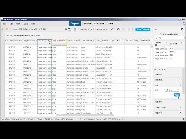 Edit and cleanse a dataset: SAP Lumira 1.17