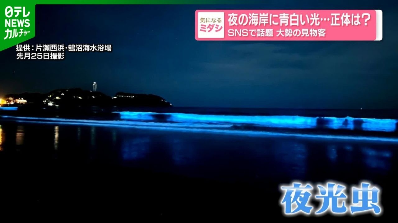 The pale blue glow of the night sea is trending on social media