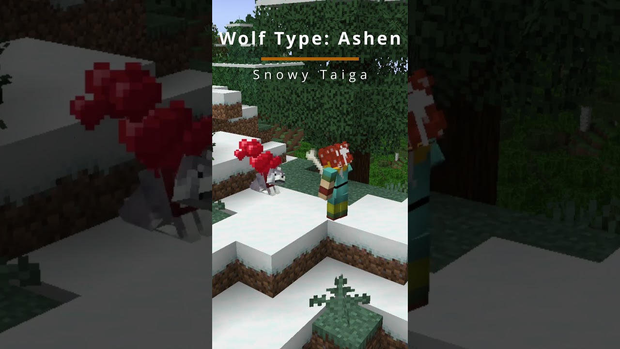 Minecraft Facts 013 - Wolf Variants 