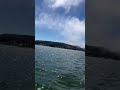 Speeding across San Francisco Bay #sanfrancisco #shorts #viralvideo