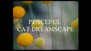 Relaxing Cat and Flower Garden | Peaceful Music for Calm Moments screenshot 2