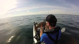 Pêche en kayak - Sortie mer Finistère Sud - Vieilles et bars aux leurres