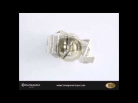 Hanayama Cast Puzzle