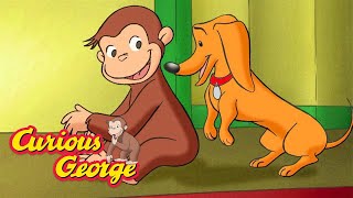 Download Lagu George's Friend Hundley π΅ Curious George π΅ Kids Cartoon π΅ Kids Movies MP3 Download Lagu George's Friend Hundley π΅ Curious George π΅ Kids Cartoon π΅ Kids Movies MP3