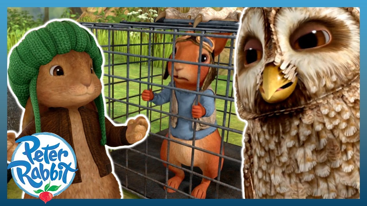 @OfficialPeterRabbit - 🔐🐿 Can We Save Nutkin!? 🐿🔐 | Cartoons for Kids ...