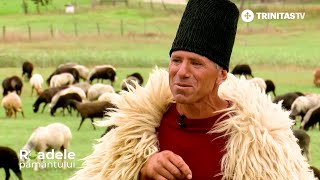 Știați Că Cea Mai Valoroasă Piele De Oaie Se Găseşte În România?