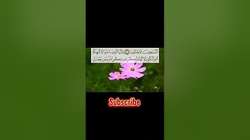 #تلاوة_خاشعة #اكسبلور #قران_كريم #quran #surah #سورة #سورة_المنافقون #قران #فلسطين #لبنان #اليمن