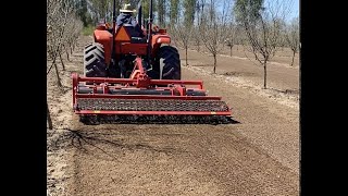 hazelnut orchard management with soil cultivator.