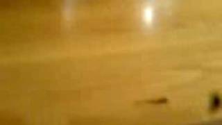 Sniffing Chilli Powder