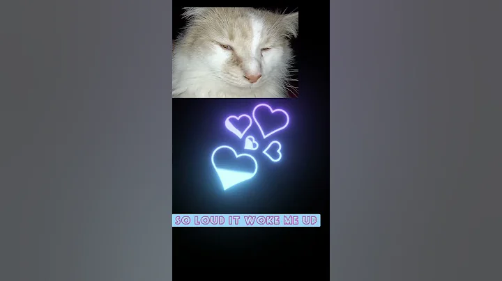 Watch the video about Kittens meowing tiger productions #youtubeshorts #yt