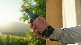 A Gl Of Pinot Nero From Alto Adige - Castel Sallegg - Vineyard Preyhof