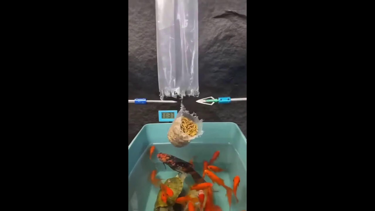 СТРИМ ШОРТС ИГРАЕМ