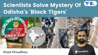 Scientists Solve Mystery Of Odisha's 'Black Tigers' | Simlipal | Taqpep Gene | In-Breeding | NCBS