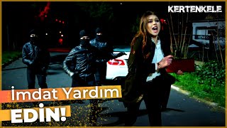 Gizemin Başı Belada Kertenkele