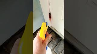 How to remove rust from rusty hinges echo friendly fast and easy DIY hack #diy #echofriendly #howto