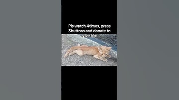 To support his recovery, please click the link in our bio to donate — every penny makes a difference