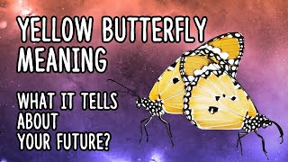 Yellow Butterfly Meaning | Spiritual Meaning Of Yellow Butterfly