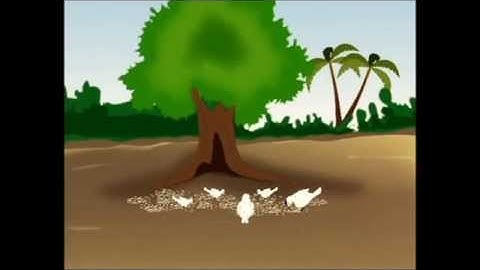 Unity is strength (2d short movie)