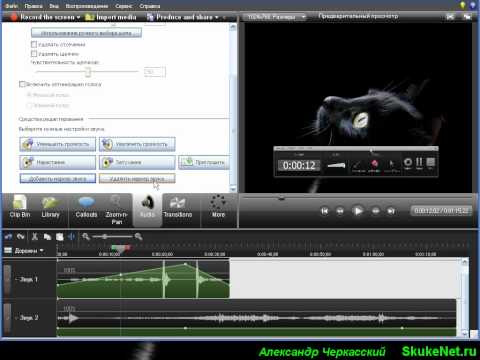 Camtasia Studio 7 - Видеоурок 7 - Часть 1/2 - Работа со звуком (Audio). Working with sound