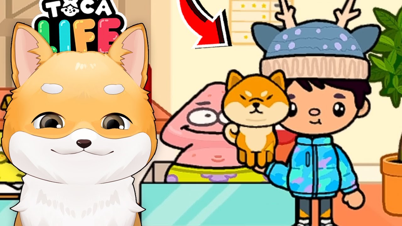 VIATA in Toca Life World FULL! de la Sarac la BOGAT