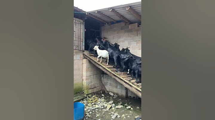 Staircase Should Be Added Simple Banisters Avoiding Goats, Especially The Pregnant Ones Falling !