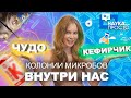 КАК лечиться СОБСТВЕННЫМИ бактериями?| Наука Просто