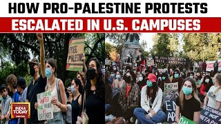 US Campus Protests: 300 Arrested On Two New York Campuses For Pro-Palestine Demonstrations