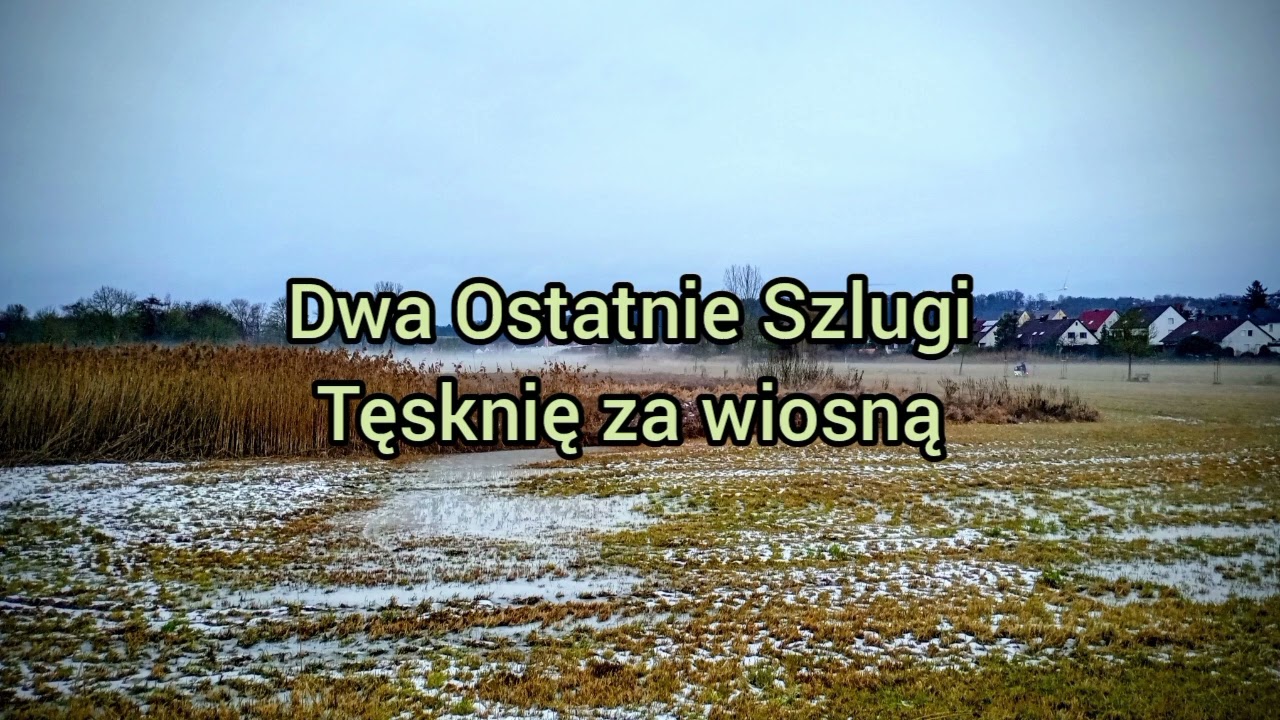 Dwa Ostatnie Szlugi - Tęsknię za wiosną 