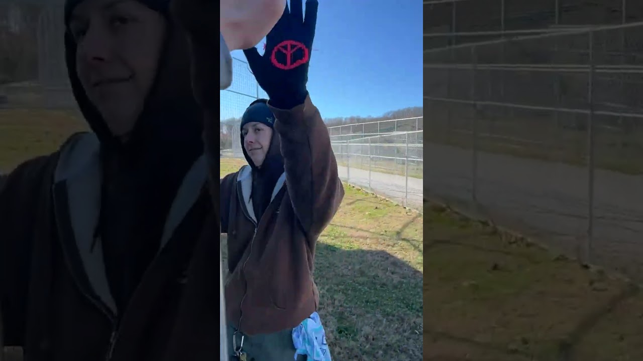 Прямой эфир с Freedom Field Cats в рамках благотворительного вторника