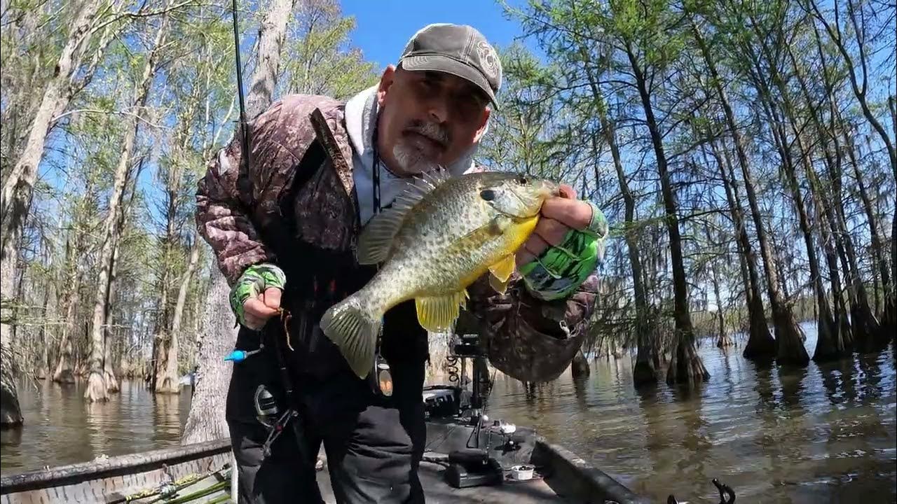 ShellCracker Fishing Santee Cooper Swamp - YouTube