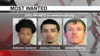 Tuscaloosa's Most Wanted: Dec.  15, 2021