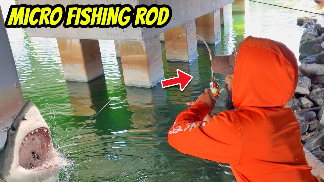 Micro Fishing Rod VS Big Fish Fishing Challenge