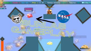 Firsts With BURLAS - TRANSFORMICE