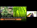 Fiber: Powering Your Health From Within