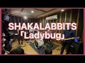 SHAKALABBITS「Ladybug」BANDCOVER