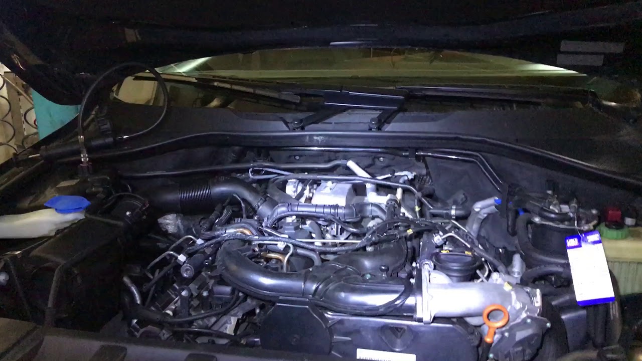 Audi q7 bug