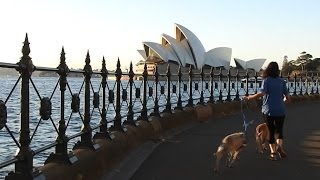 Penny Marathon Teaser 2015